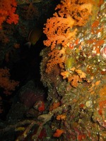 IMG_1152s-