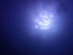 P2191233