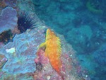 P2181176