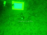 diving_bl2