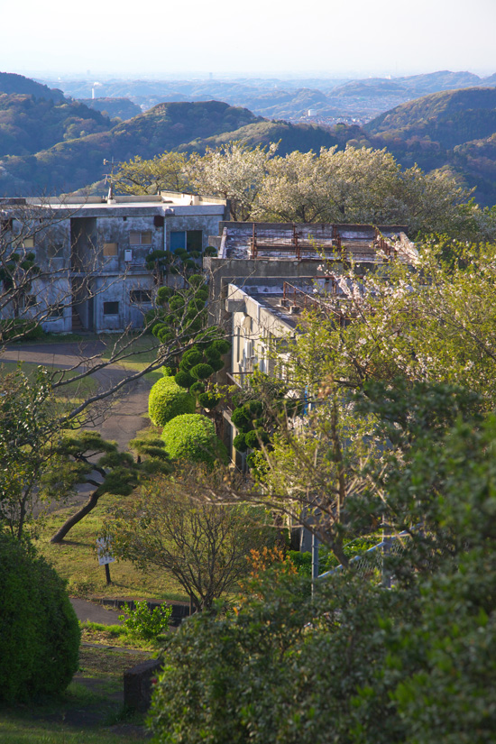 hayama_HILL06