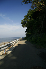 natsuiro_road