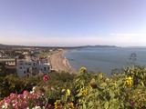 Bray Beech photo