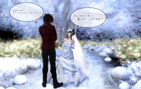 Snapshot_241