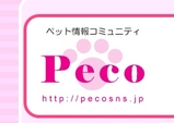 バナー