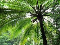 IMG_0893