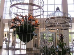 IMG_0778