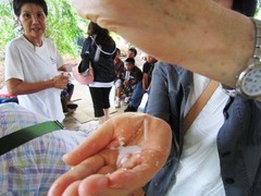 IMG_0867