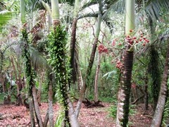 IMG_0894
