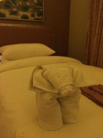 IMG_0767