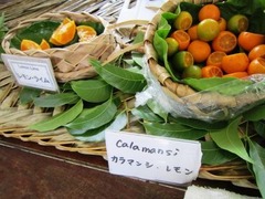 IMG_0868