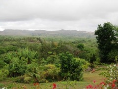 IMG_0882
