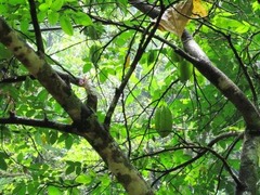 IMG_0892