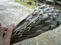 IMG_0885