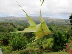 IMG_0902