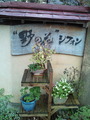 野の花シフォン