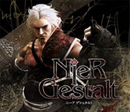 NieR Gestalt(�ˡ��� �����奿���)