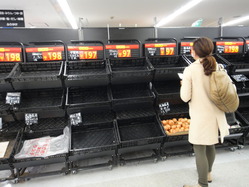 なぜか玉ねぎだけが・・・