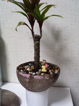 P1000030