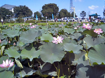P100021211