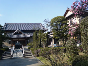 P100020811