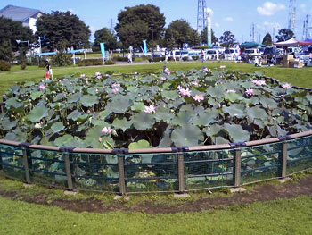 P100021111