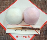 DSCF0931+1