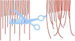 crevice1