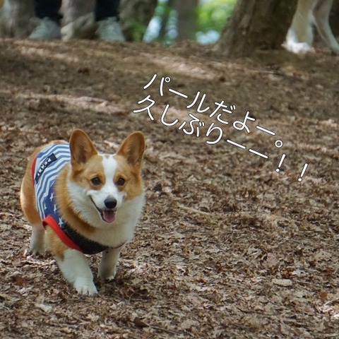 DSC02554_1