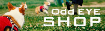 shop_banner