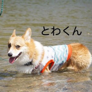 IMG_0294_1