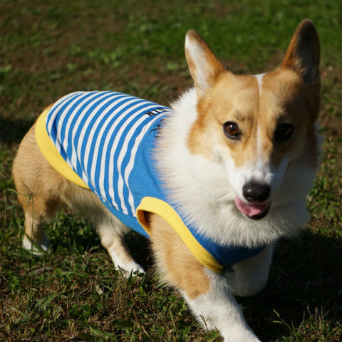 DSC09929_1