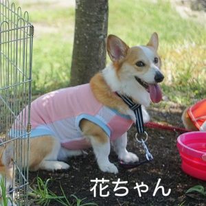 IMG_0312_3