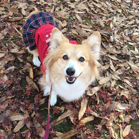 2016-11-30-19-38-13