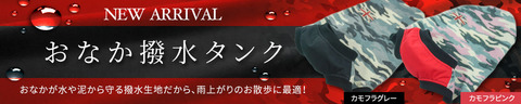 onaka_hassui_baner_02