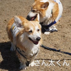 IMG_0327_1