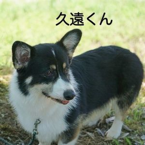 IMG_0310_3