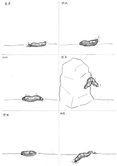 watashinoaisuruikimonoten2019-2