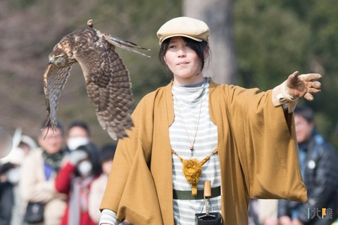 kanazawa-takasyou2019