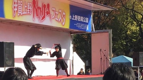 ninjyafes
