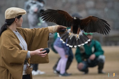 kanazawa-takasyou2019-2