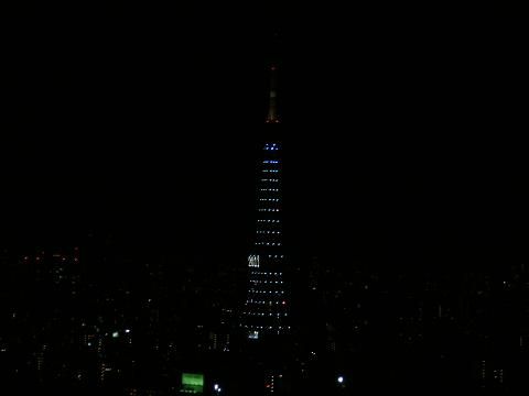 コピー ~ tosikosi10 013