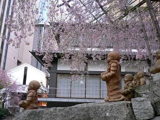 20114sakura 087