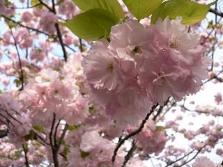 20114tourinuke 029