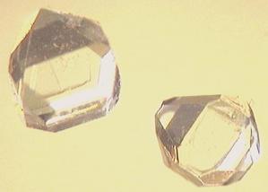 Xylitol_crystals