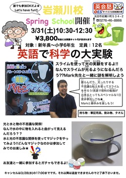 2018Spring school ポスター