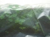 CIMG5649