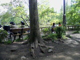 f084c0e3.jpg