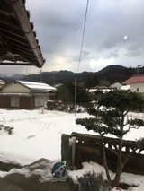 IMG_6401