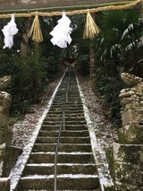 IMG_6340